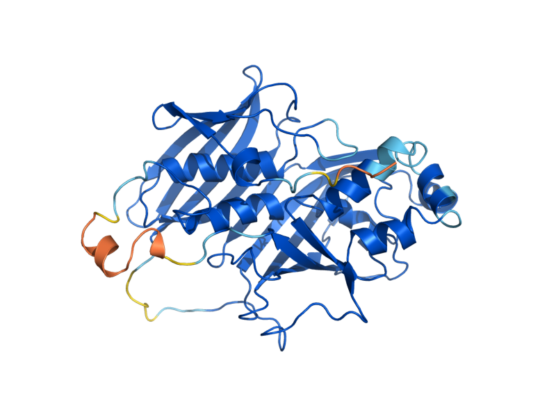 AlphaFold predicted structure of TES1