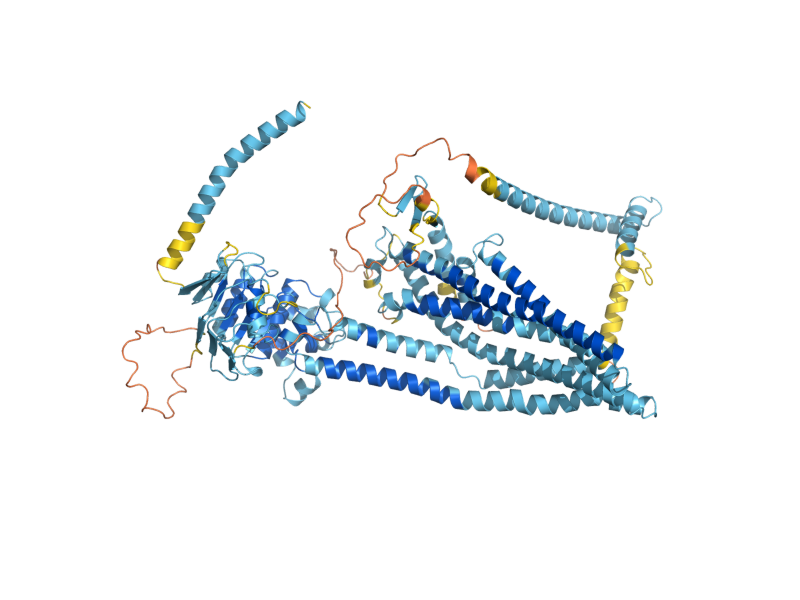 AlphaFold predicted structure of PXA1