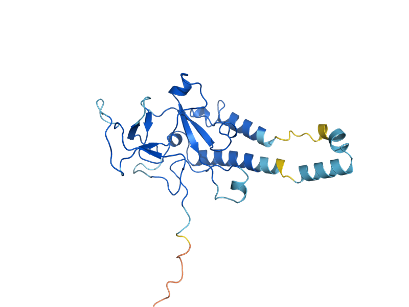 AlphaFold predicted structure of SHR5