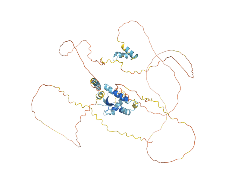AlphaFold predicted structure of GDS1