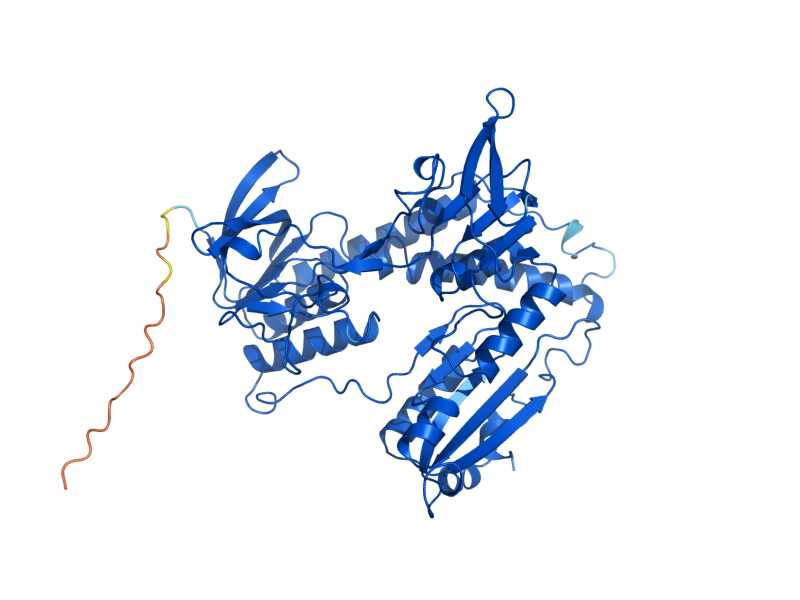 AlphaFold predicted structure of GLR1