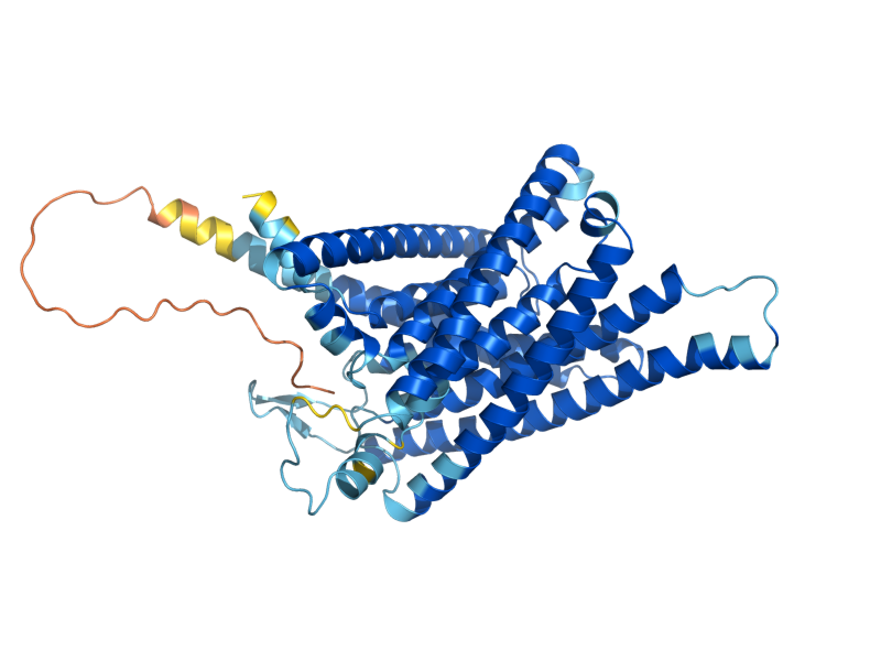 AlphaFold predicted structure of SSU1