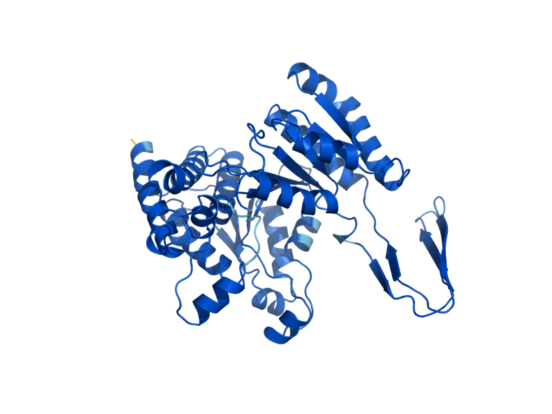 AlphaFold predicted structure of IDP2