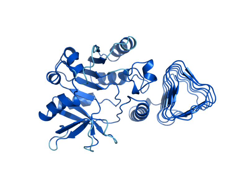 AlphaFold predicted structure of PSA1