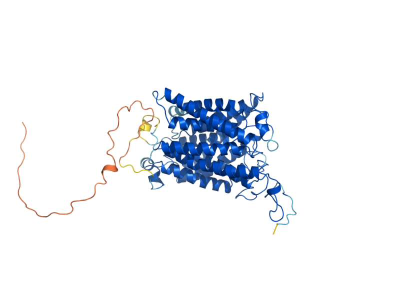 AlphaFold predicted structure of MEP2