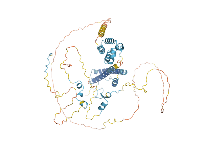 AlphaFold predicted structure of REF2