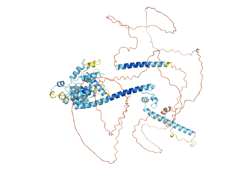 AlphaFold predicted structure of SBE2