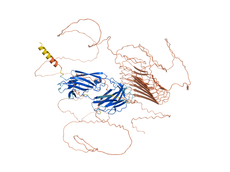 AlphaFold predicted structure of EGT2
