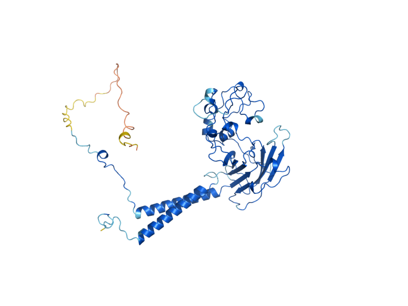 AlphaFold predicted structure of LEM3