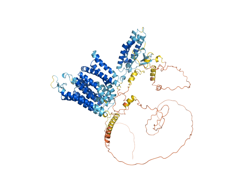 AlphaFold predicted structure of VNX1