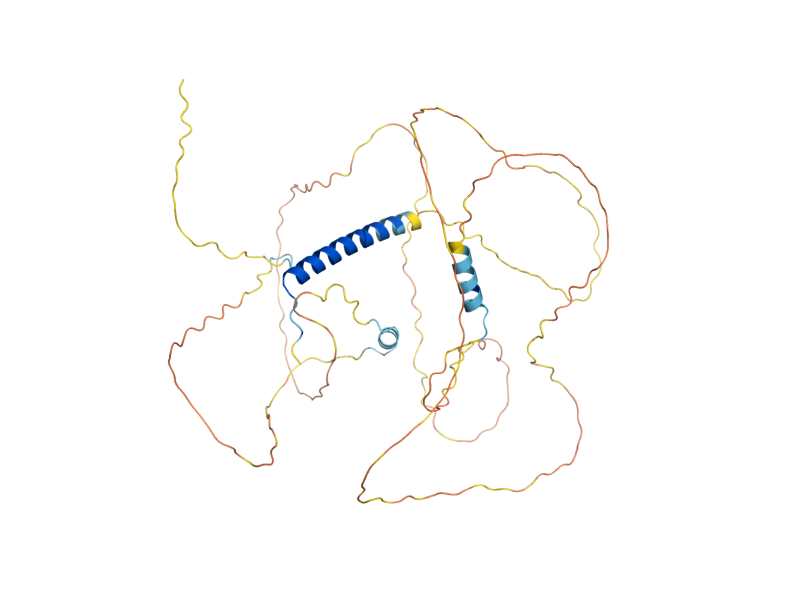 AlphaFold predicted structure of STB1