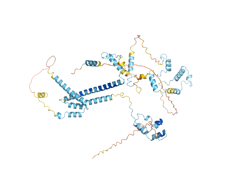 AlphaFold predicted structure of KRI1