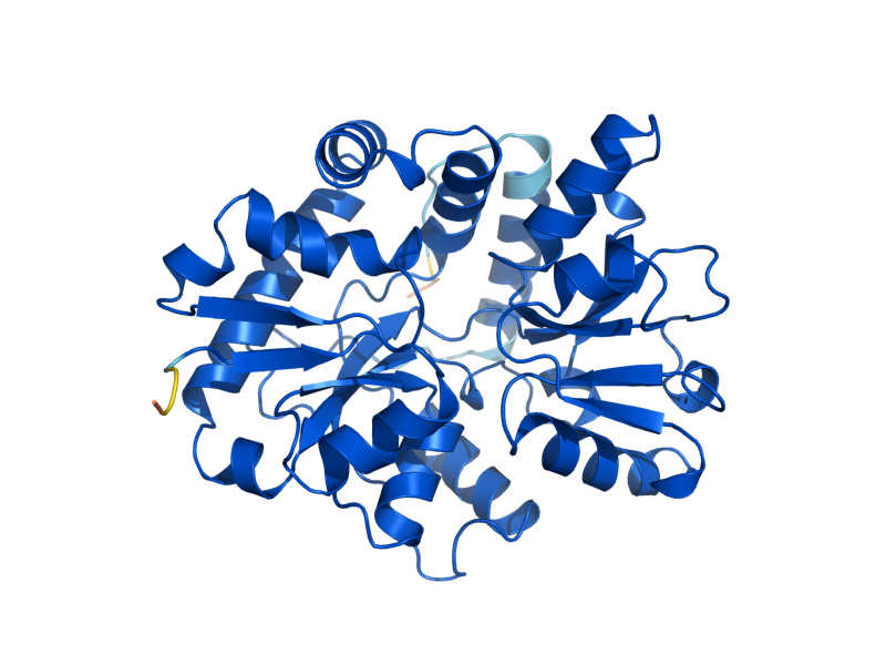 AlphaFold predicted structure of THI12