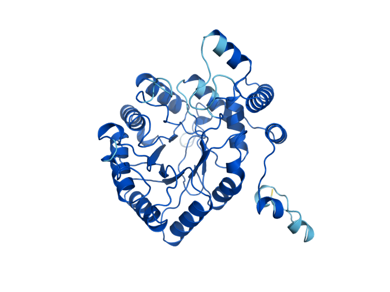 AlphaFold predicted structure of AAD14