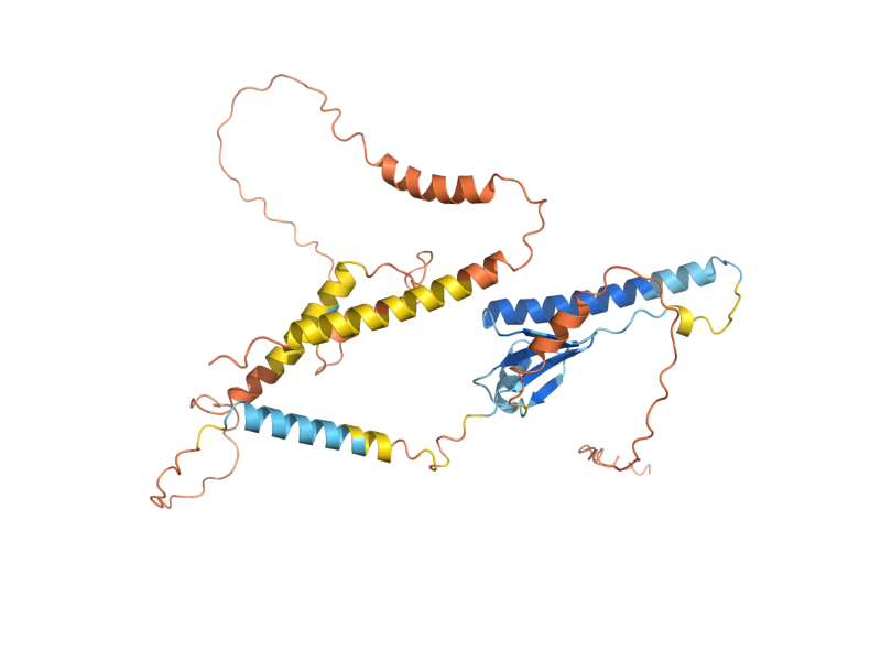 AlphaFold predicted structure of SPG5