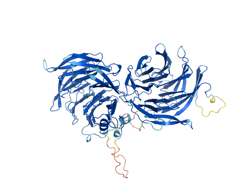 AlphaFold predicted structure of ELP2
