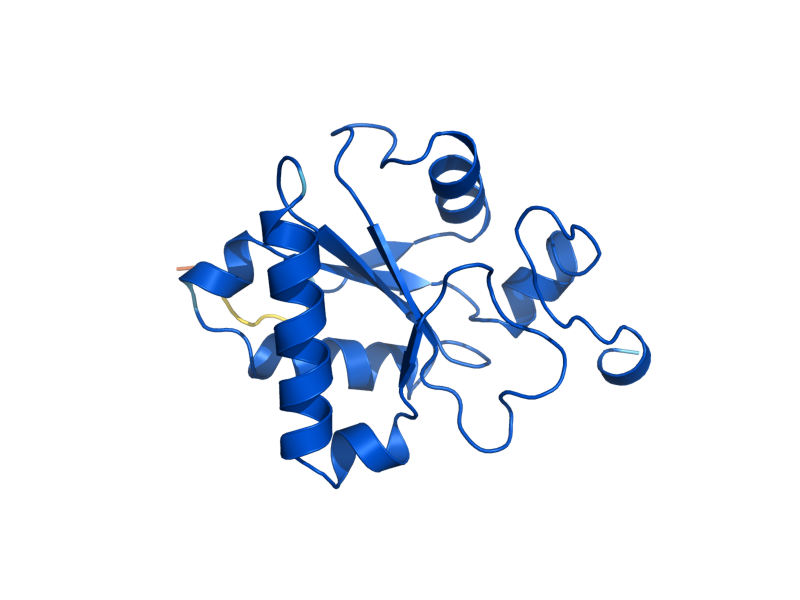 AlphaFold predicted structure of YCH1