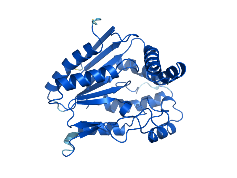 AlphaFold predicted structure of TDA10