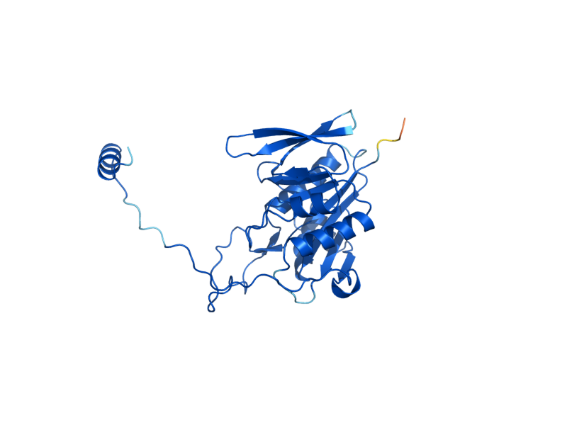 AlphaFold predicted structure of CIR1