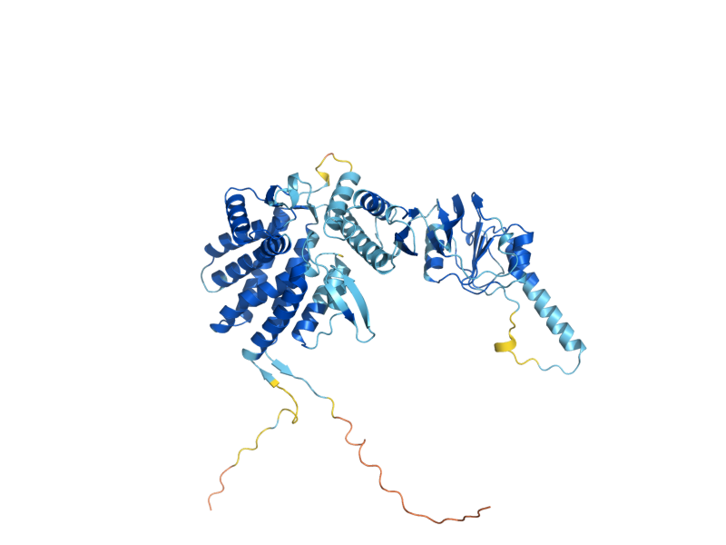 AlphaFold predicted structure of CCT7