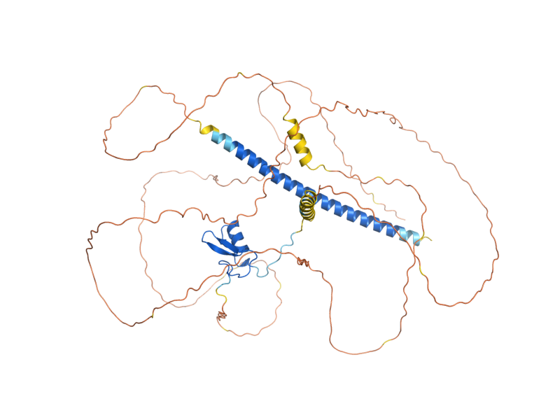 AlphaFold predicted structure of GZF3