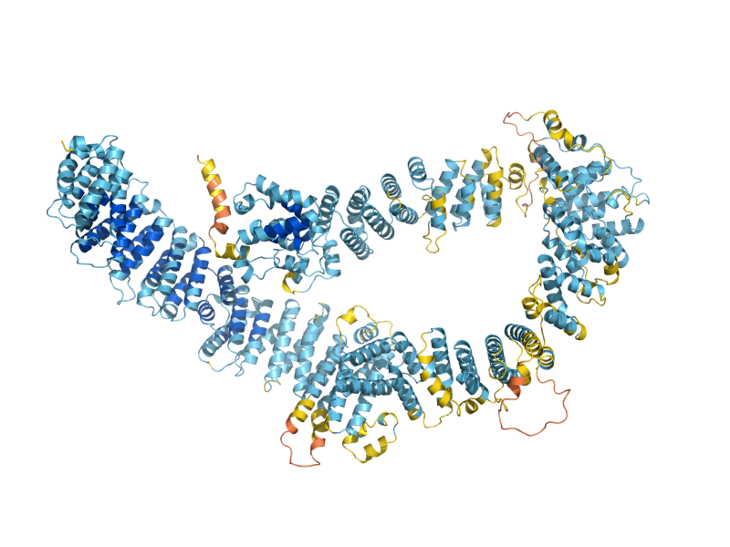 AlphaFold predicted structure of UTP10