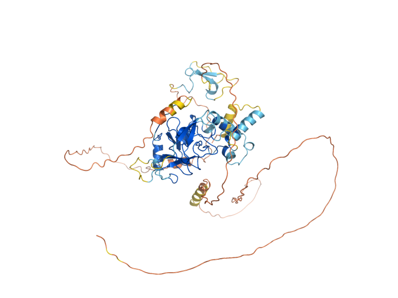 AlphaFold predicted structure of SET4