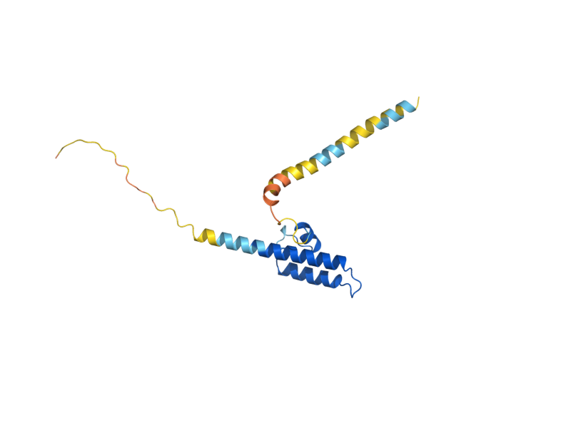 AlphaFold predicted structure of PAM16