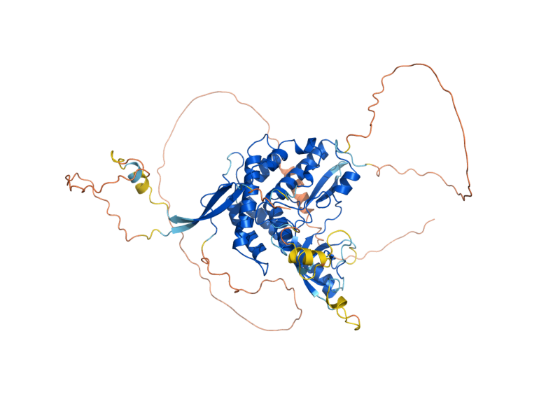 AlphaFold predicted structure of LSB6