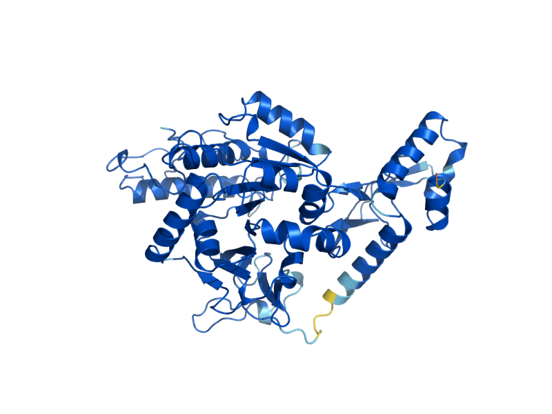 AlphaFold predicted structure of QRI1