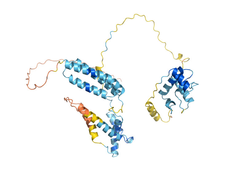 AlphaFold predicted structure of NSE4