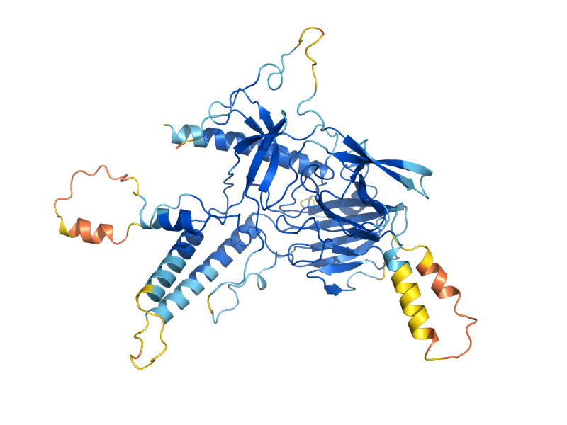 AlphaFold predicted structure of BRE2