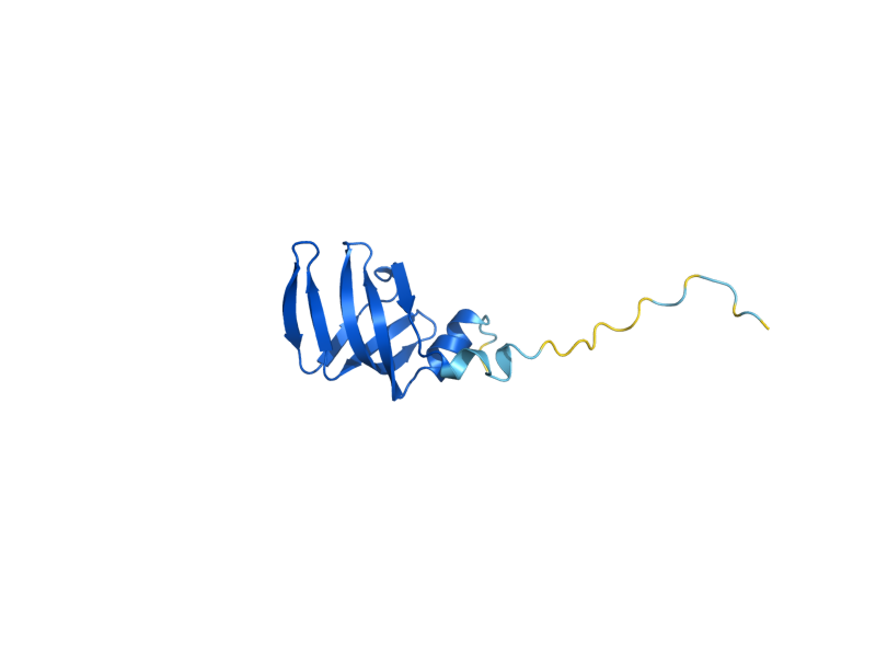 AlphaFold predicted structure of SMD3
