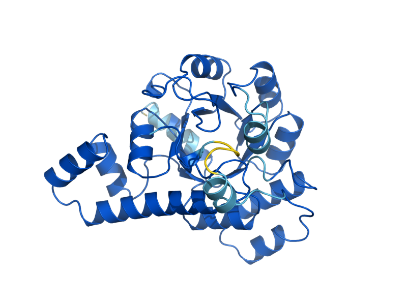AlphaFold predicted structure of SNZ3