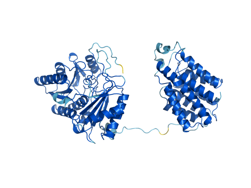 AlphaFold predicted structure of DAK2