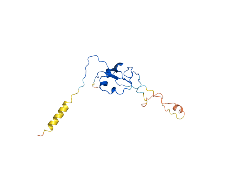 AlphaFold predicted structure of YFL051C