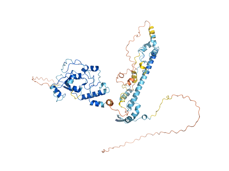 AlphaFold predicted structure of SWP82