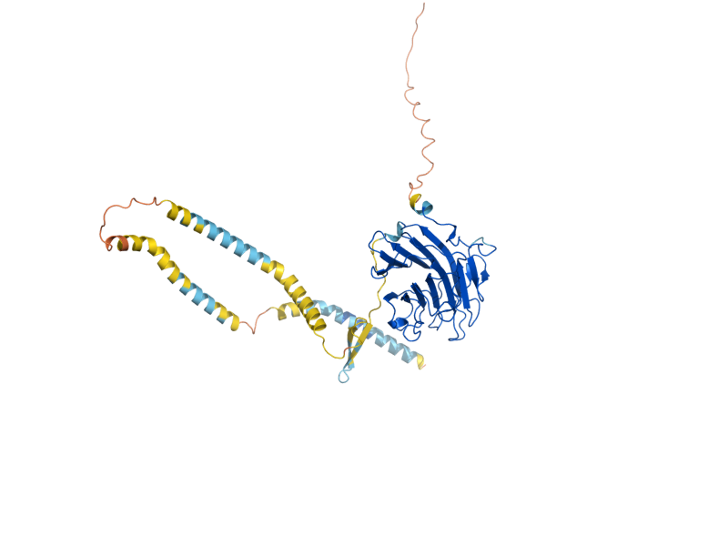 AlphaFold predicted structure of EMP47