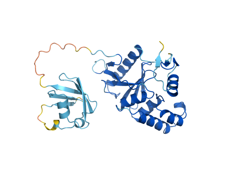 AlphaFold predicted structure of OTU1