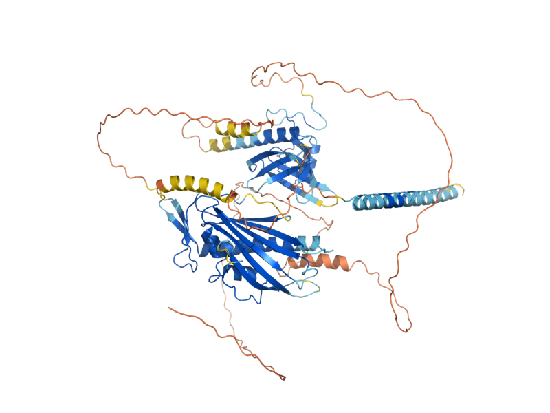 AlphaFold predicted structure of LAM5