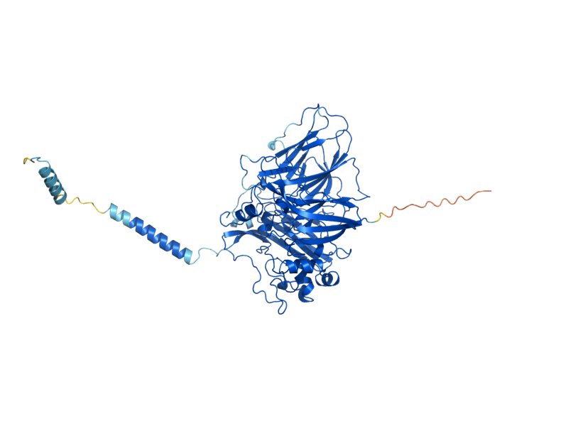 AlphaFold predicted structure of FET5