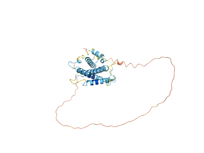 AlphaFold predicted structure of MOB2