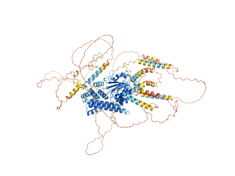 AlphaFold predicted structure of MIL1