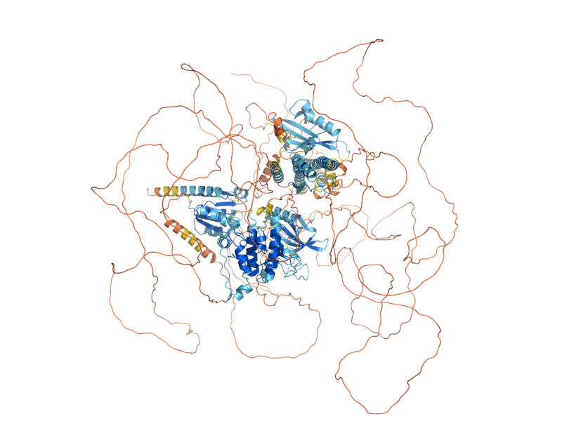 AlphaFold predicted structure of RIM15