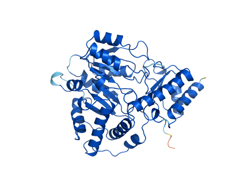 AlphaFold predicted structure of AGX1