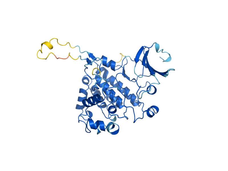 AlphaFold predicted structure of CAK1