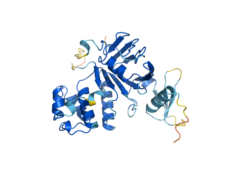 AlphaFold predicted structure of CAF16