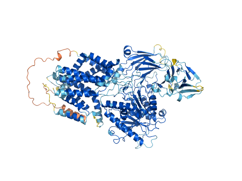 AlphaFold predicted structure of BST1
