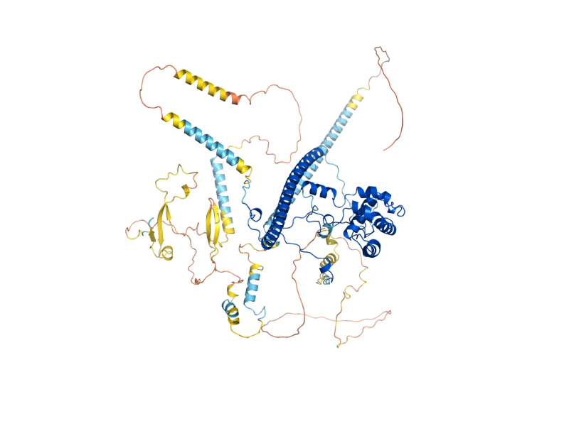 AlphaFold predicted structure of EPL1