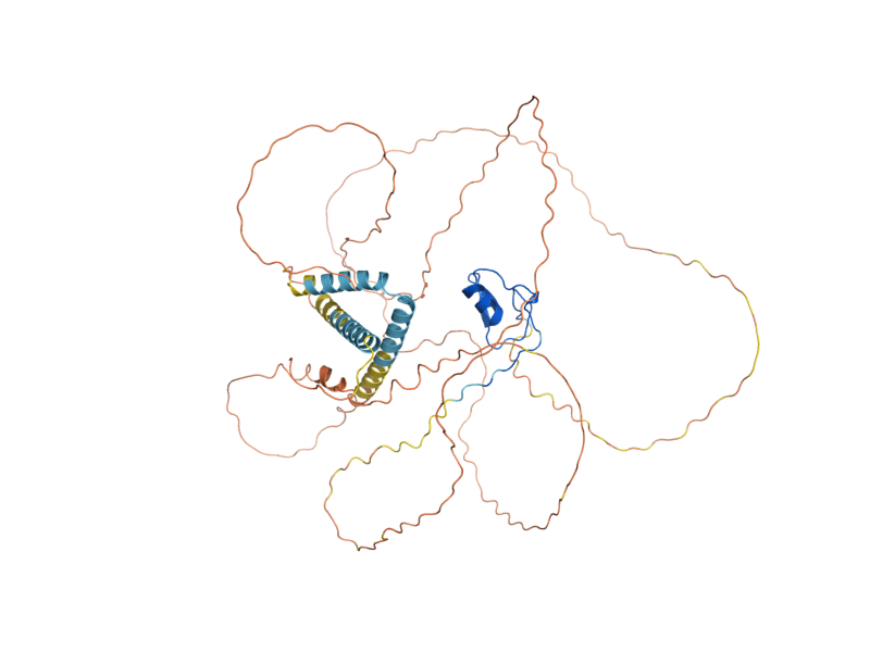 AlphaFold predicted structure of GAT1